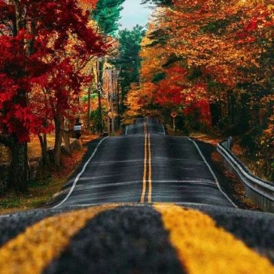 金沙直播app下载